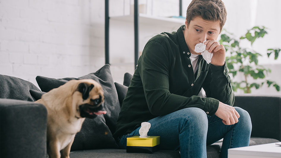 Installing an air purifier is one of the top ways to enhance your house’s indoor air quality. Discover more about the three best products. 